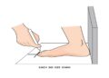 Việc đo chiều dài bàn chân là yếu tố quan trọng để chọn được size giày 