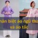 Đặc điểm của Áo Ngũ Thân và Áo Tấc